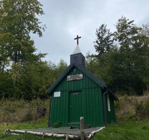 Niedamirów, Trasa piesza - Wojciech - 1