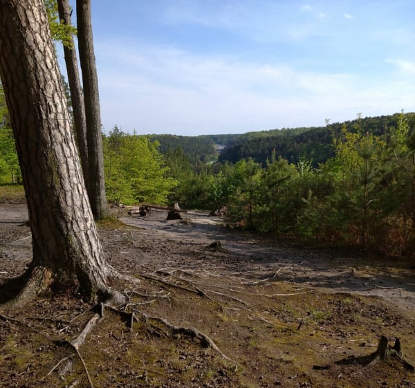 Trasa nordic walking - Bogdan - 1