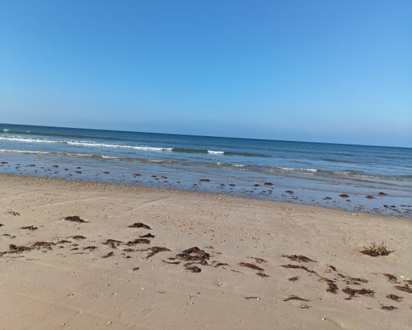Notre Dame de Monts entre terre et mer, par la plage des Régates - Didier - 1