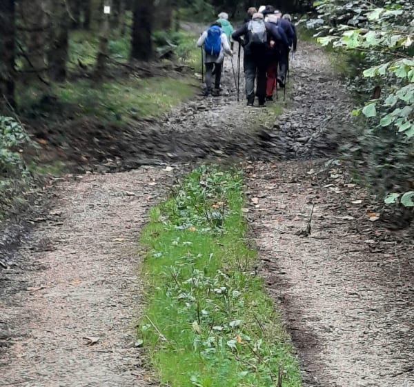 Randonnée dans la forêt communale  de Hargnies - jean-pierre - 1