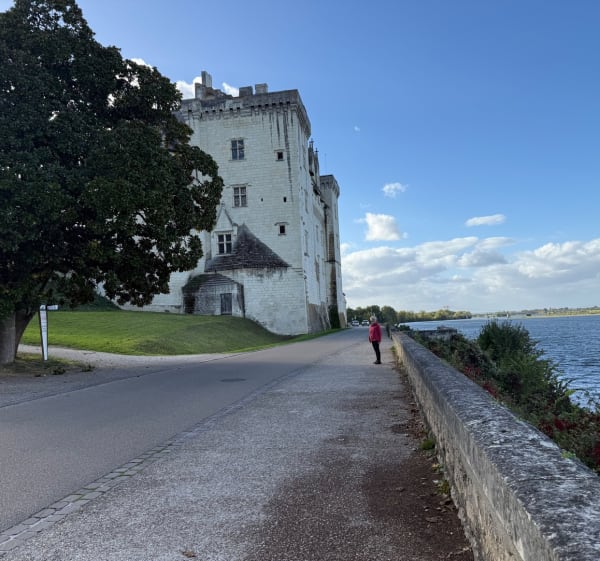 Petite balade confluence de la Loire et de la Vienne. - Candes-Saint-Martin - 1