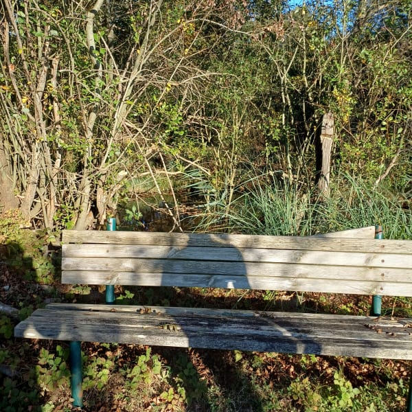 Le Bourdet, balade bocagère et sentier de découverte - Jenny - 1