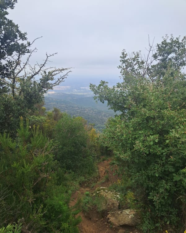 Puig de Santa Cristau depuis Montesquieu-des-Albères - Emy - 1