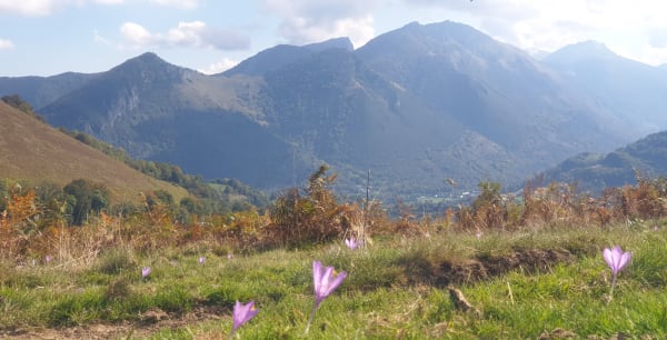 Ronde van de Serris-vallei in Beaudéan en totale ontkoppeling - LYDIA - 1