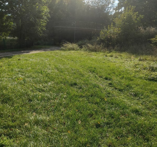 Park Sielecki - Stawiki Sosnowiec - Rafał - 1