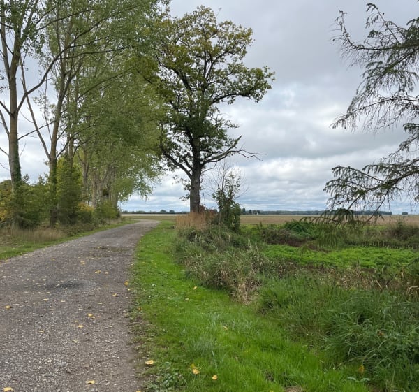 Promenade dans la pleine les bois et le long du Liéton - Yoann - 1
