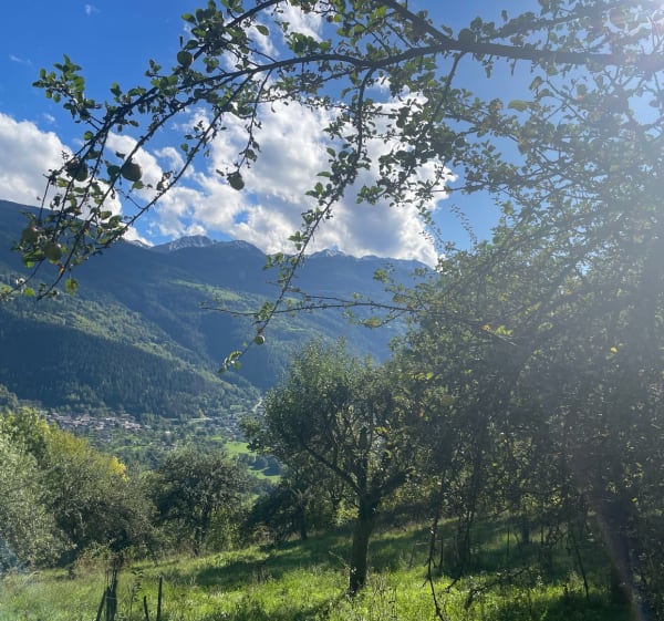 Sentier de la Pomme et la Bergerie - Decathlon - 1