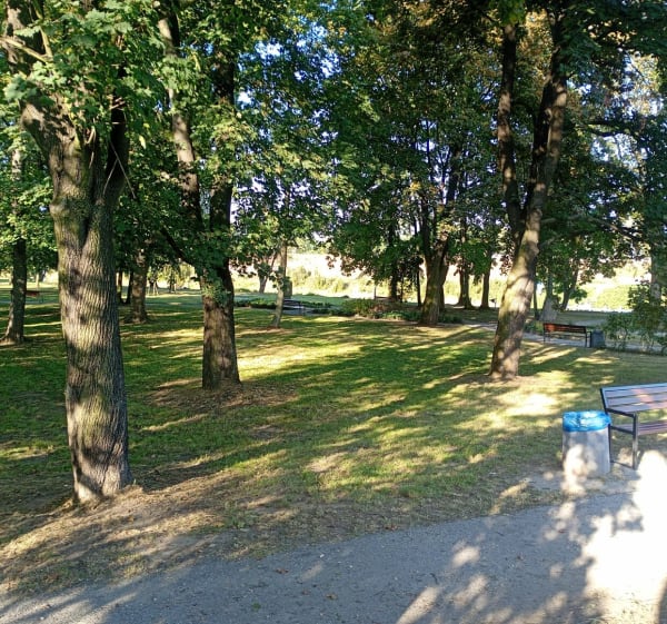 Lajtowy trening - Karol - 1