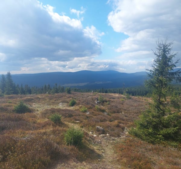 Na Wysoką Kopę i Sine Skałki - Michał  - 1