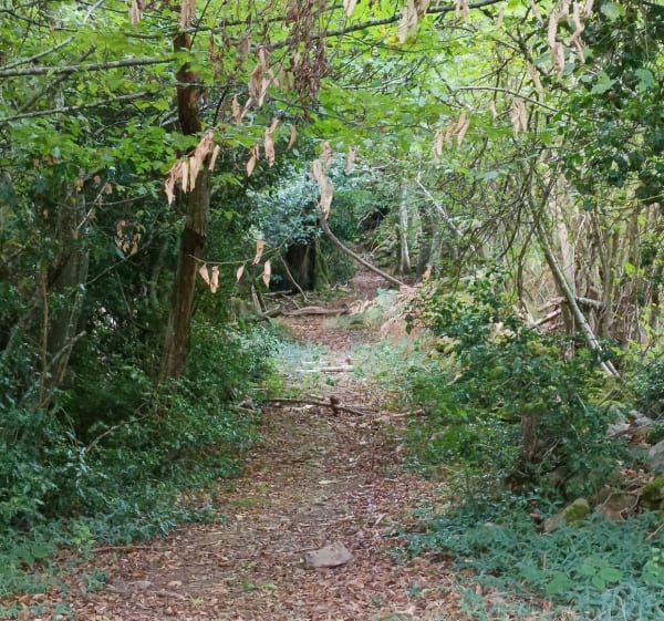 Balade autour de Solutré - Estelle - 1