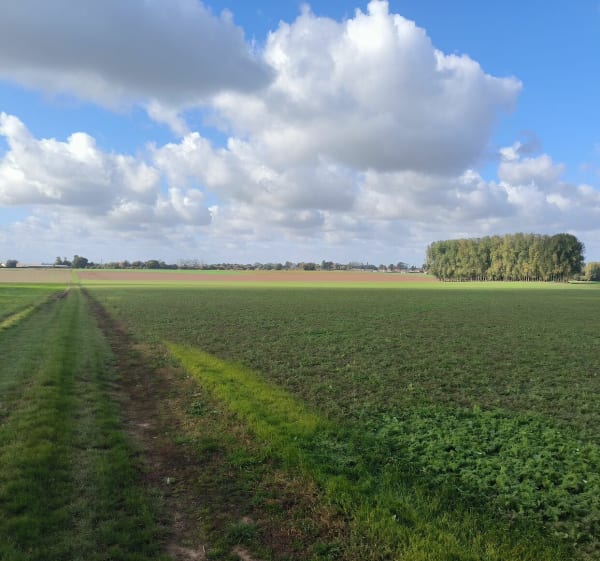 Petite balade tranquille à Bosc-le-Hard - Stéphane - 1