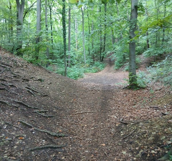 Balade au profil varié plateau Malzéville - Benoît  - 1