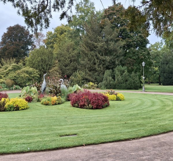 Oxygénation entre Contades et Orangerie - Laurent - 1