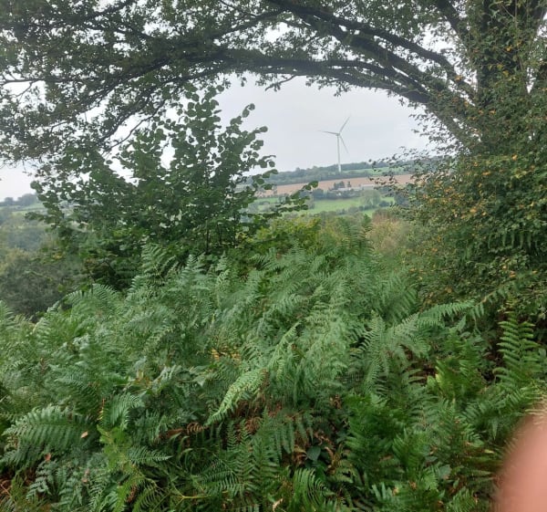 Promenade pour marcheur au niveau des éoliennes - champs - 1