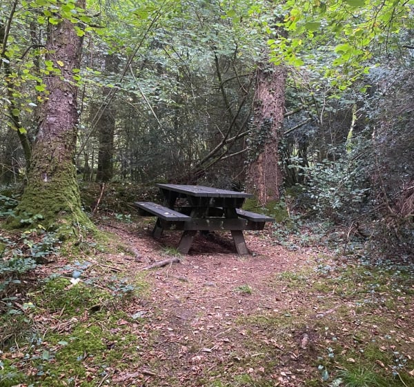 Balade autour de Brasparts - Christophe - 1