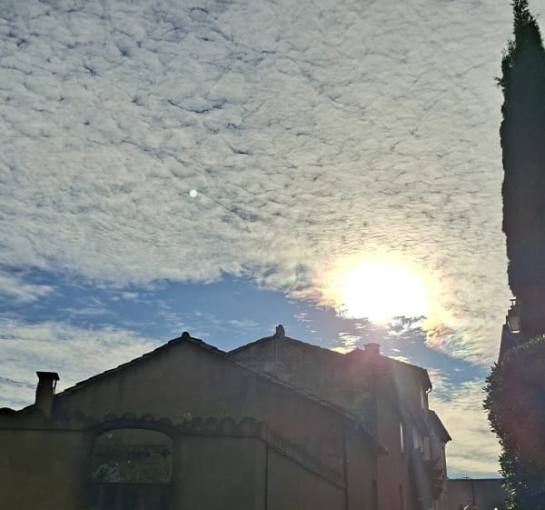 Marche dans la plaine de l'abbaye à Villeneuve-Les-Avignon - Valérie - 1