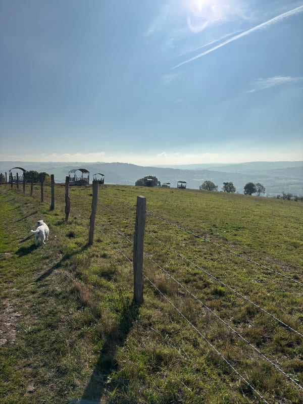 Saint-Martin-de-Sallen et petit bout du GR® 36 - Anne - 1