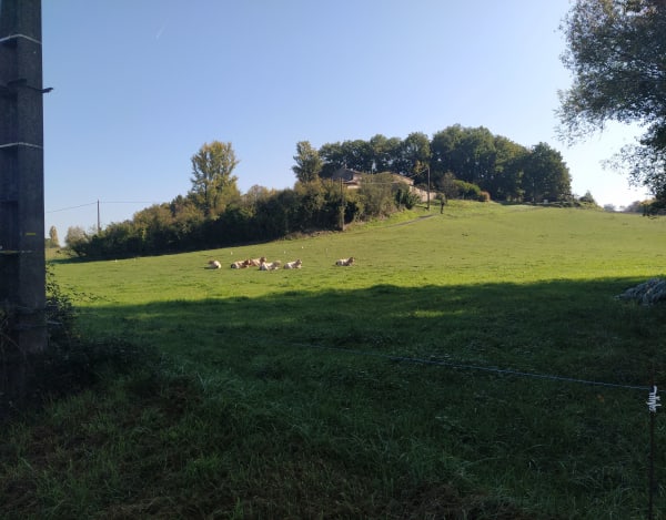 Castelnau-de-Montmiral et sa balade contemplative - Jean - 1