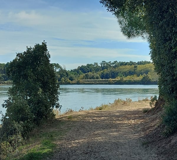 Moeras, oesterpark, strand van Veillon... - Thierry - 1