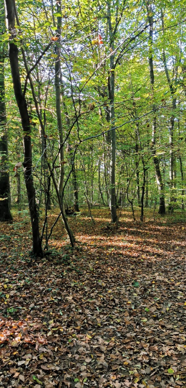 Parcours de santé Pulnoy - Étienne - 1