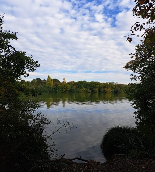 Chapelle sur Erdre 44240 - Cedric - 1