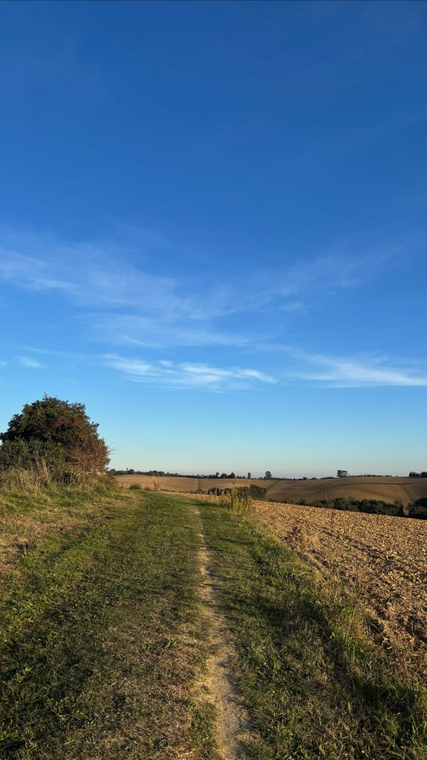 Lacroix-Falgarde aan de oevers van de Ariège - Bahaa - 1