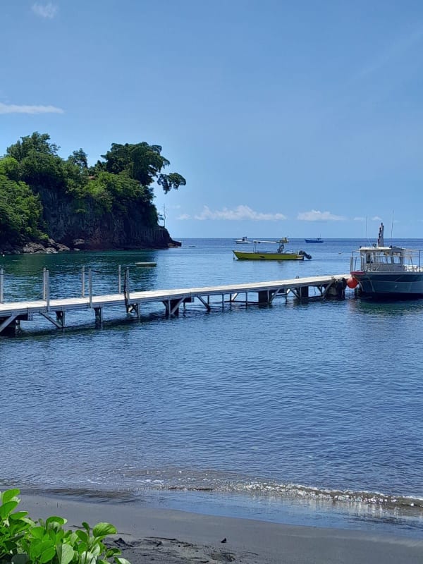 Entre le maritime et le fluvial à La  Vicomté sur Rance - Patrick - 1