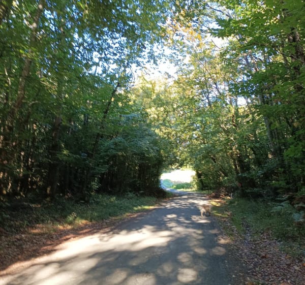 Balade à Brizambourg - Francoise - 1