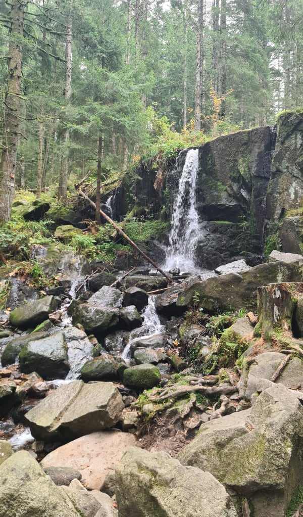 Echappée en forêt de Gérardmer et cascades mélodieuses - Stephane - 1