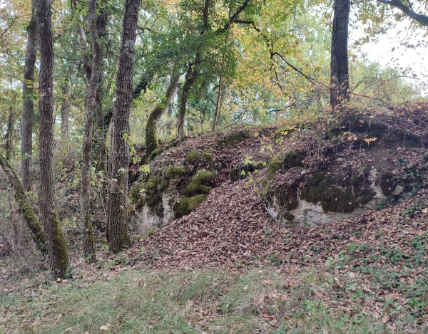 Goulens, balade dans les coteaux de Gascogne - Sophie - 1
