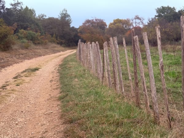 Rando Brouzet-lès-Quissac - nasser - 1