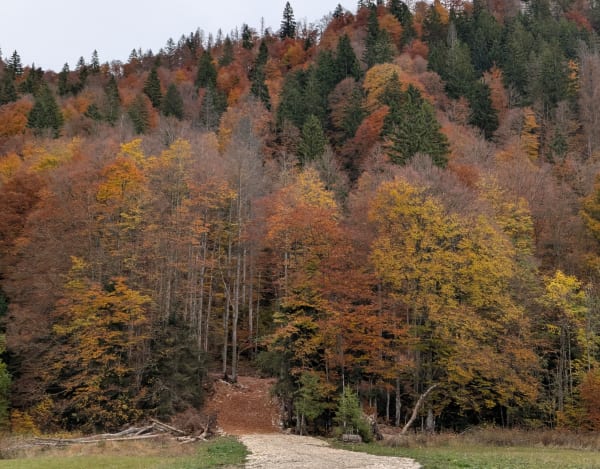 Lac de Bellefontaine et sur les pas des passeurs par les GR® - Marie - 1