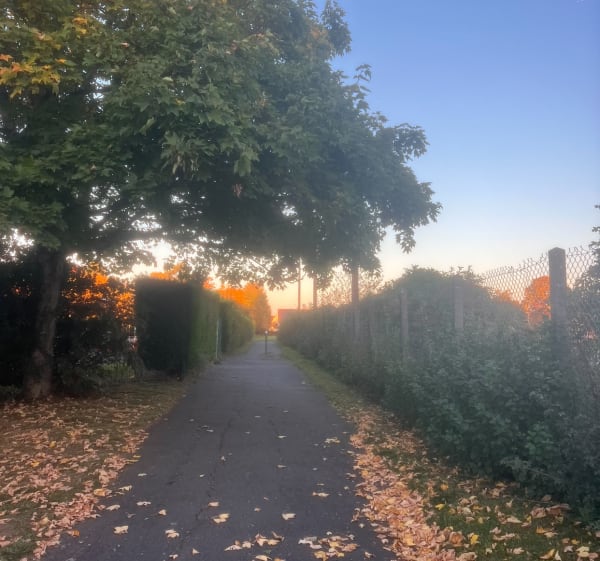 Promenade au coucher de soleil à Fondettes - Yann - 1