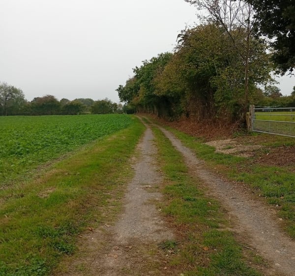Balade dans la campagne de La Chapelle-du-Fest - Aurelie - 1