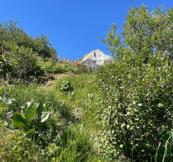 Aller-retour de Pierrafort à Roche-Blanche; escales en bonus - Caroline - 1