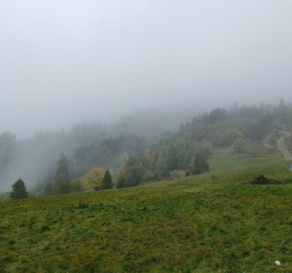 Hala boracza z Rajczy - Grzegorz - 1