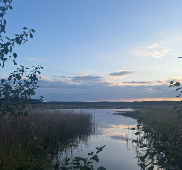 Torfowiska i punkty widokowe Imielty Ług - Dorosz - 1