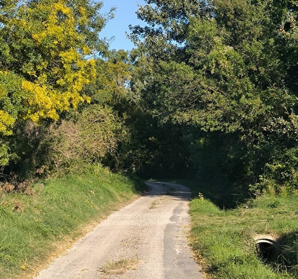 Boucle de la Garonenque bucolique sur petites routes - MICHELLE - 1