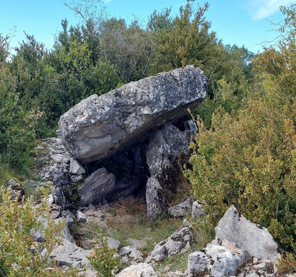 Autour du Viala-du-Pas-de-Jaux - Michel - 1