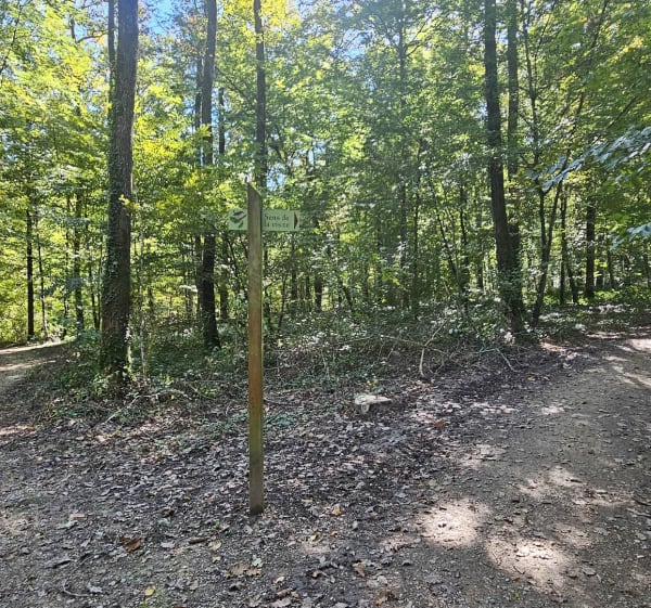 Forêt de Seillon - MARIE PIERRE - 1