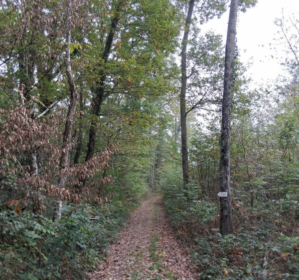 Balade autour de Saint-André-le-Désert - Ludo - 1
