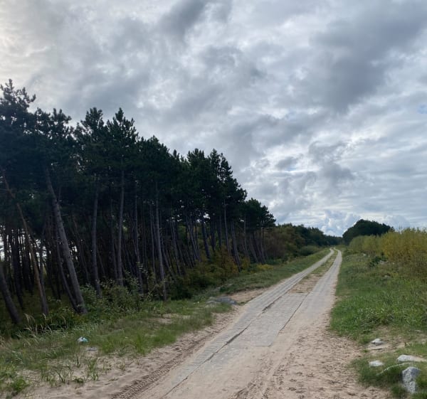 Darłowo-Darłówko - Piotr - 1