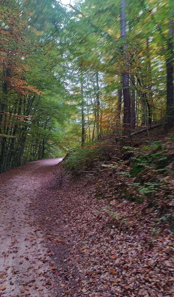 Excursie naar Bergen - Nath - 1