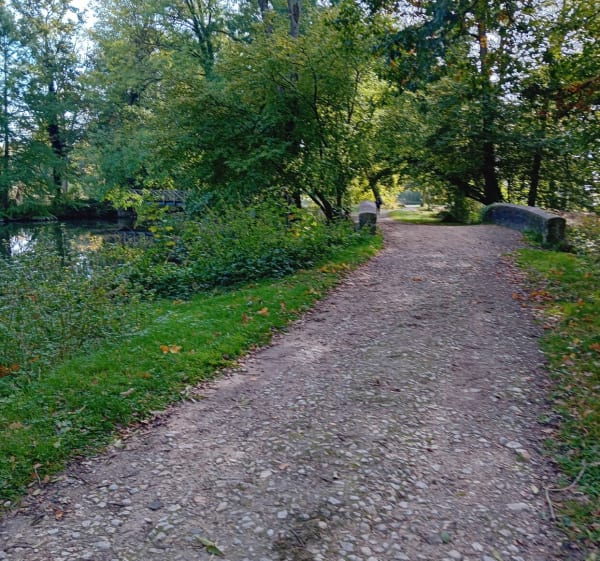 Forêt du belvédère et chateau de Chamarande - Jean - 1
