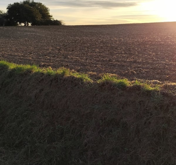 Petite rando dans le Lauragais - Michel - 1