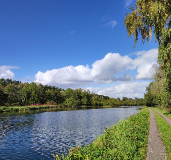 Long du canal à Seraucourt-le-Grand - Fabrice - 1