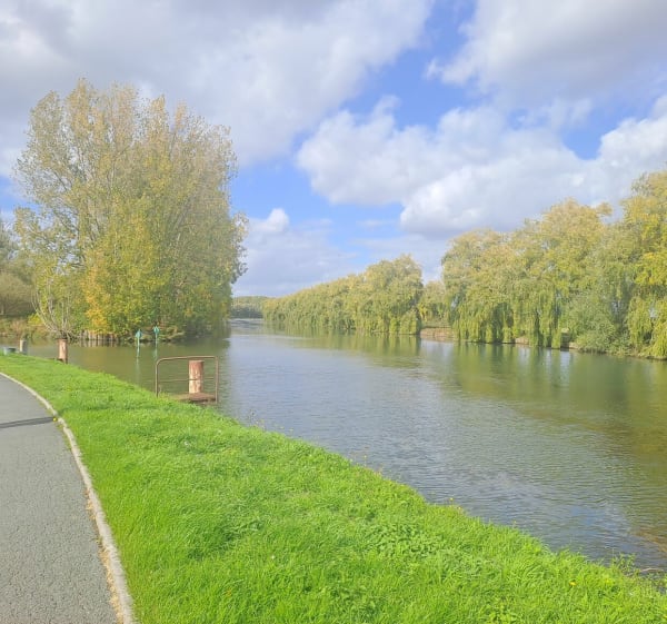 Bassin rond estrun - Gerard - 1