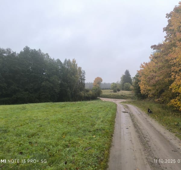 Jezioro Juksty - Joanna - 1