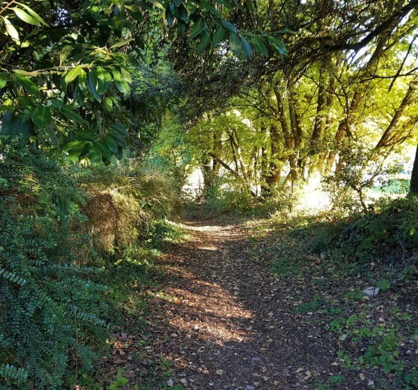 Parcours de Mornac - Nadège - 1