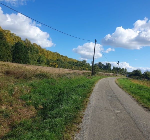 Promenade champêtre à Montech - Corinne - 1